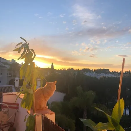 Appartamento Sea View Penthouse In 